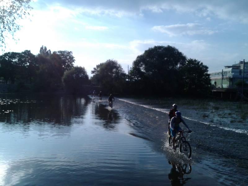 WP_001164.jpg