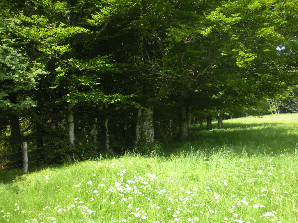 DSCN1856.JPG
