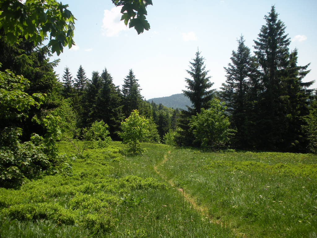 DSCN1866.JPG