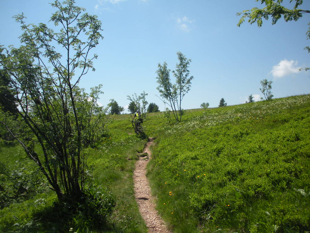 DSCN1868.JPG