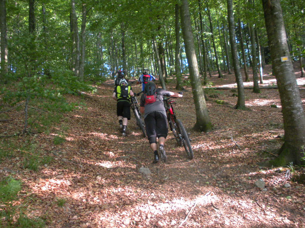 DSCN1880.JPG