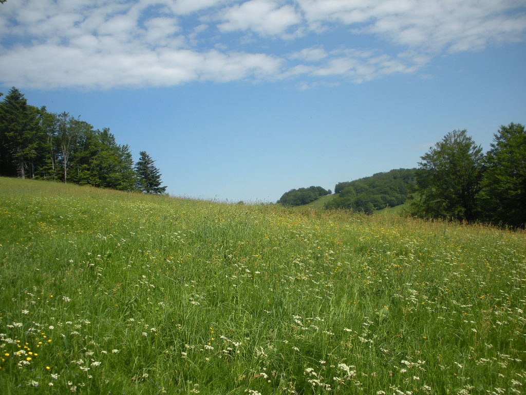 DSCN1857.JPG