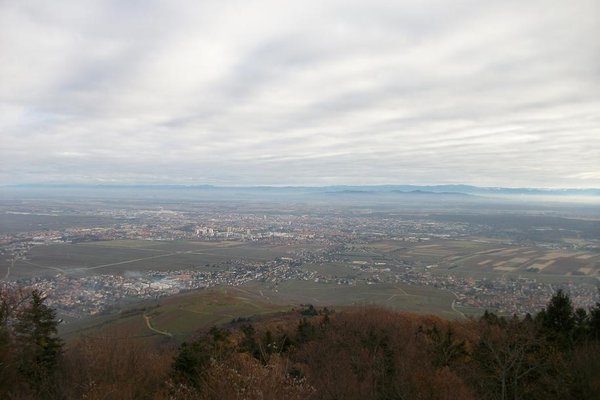 Vue du Holandsbourg sur la plaine d' Alsace