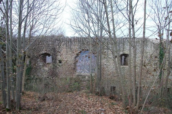 Château du Flixbourg