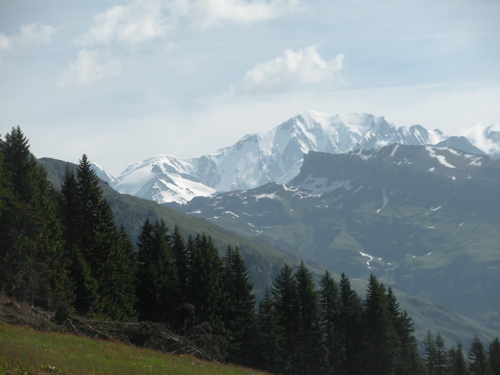 DSCN1951.JPG