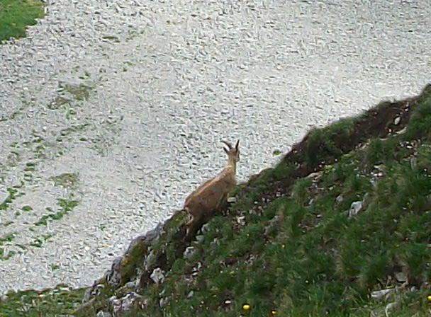 La rando du Pilatus 034.JPG