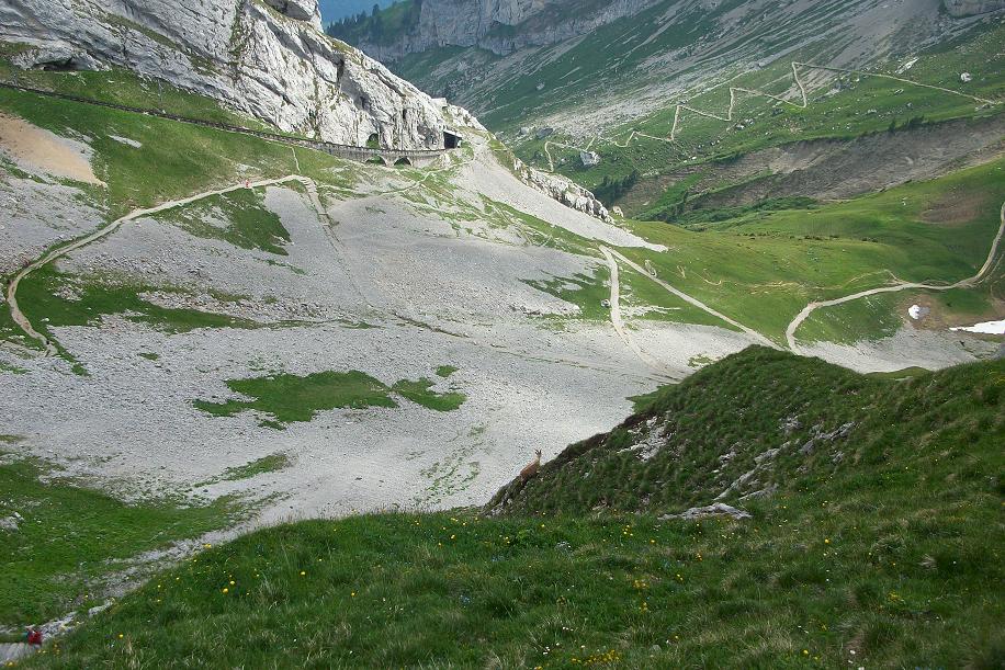 La rando du Pilatus 033.JPG