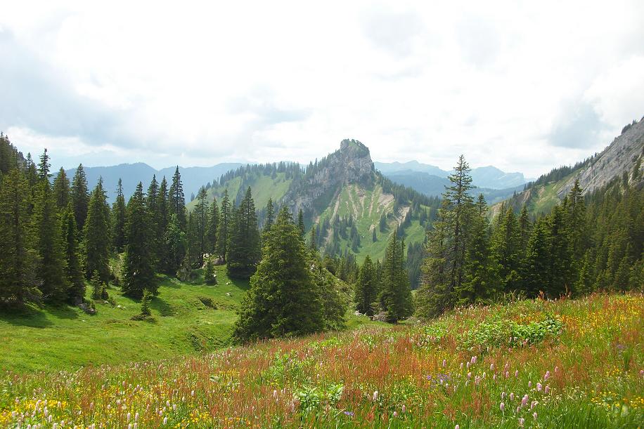 La rando du Pilatus 015.JPG