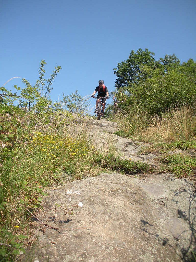 DSCN1978.JPG