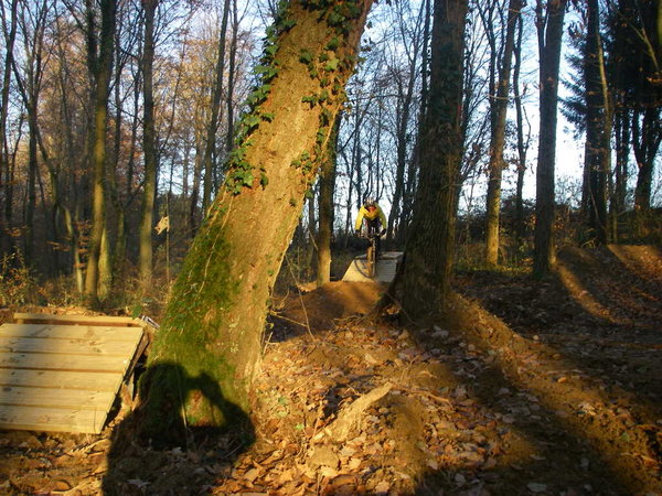 IMGP0034.JPG