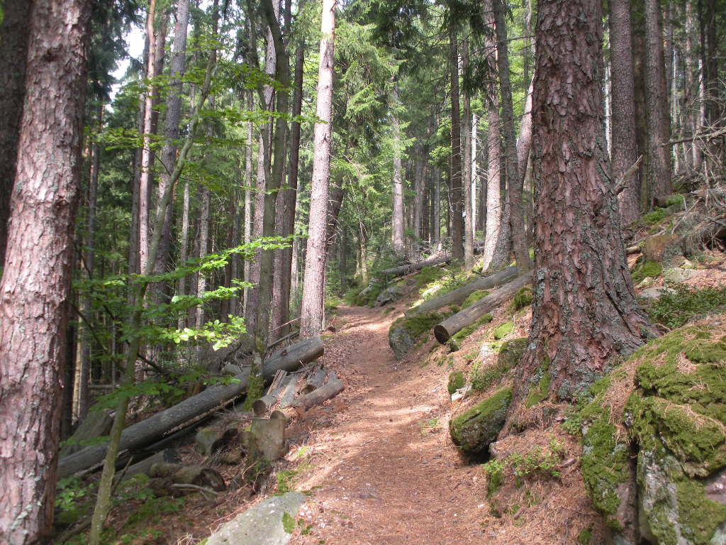 DSCN2146.JPG