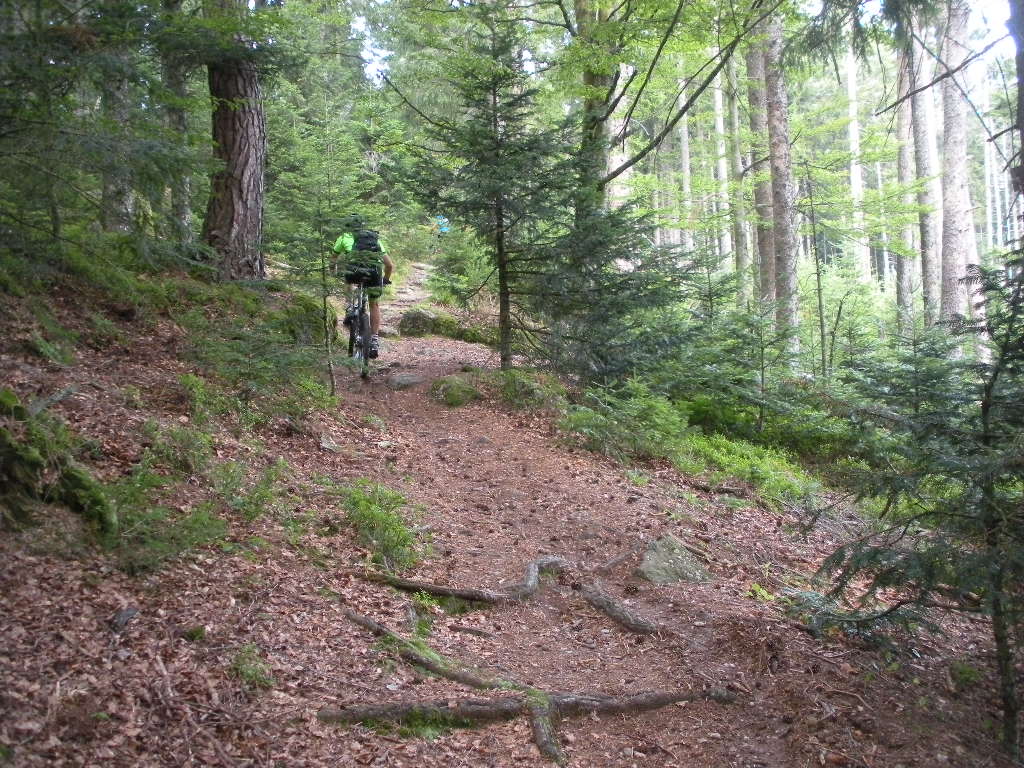 DSCN2160.JPG