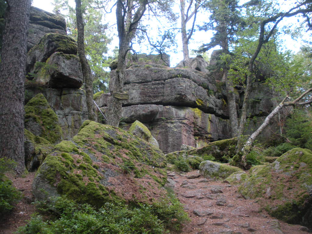 DSCN2161.JPG