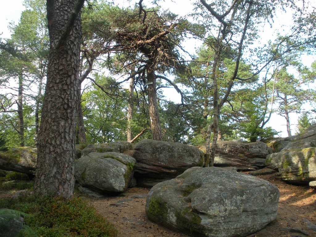 DSCN2163.JPG