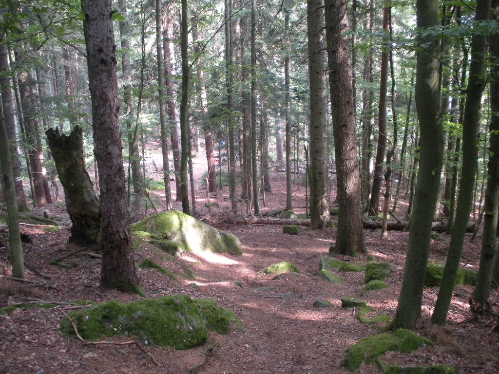 DSCN2165.JPG