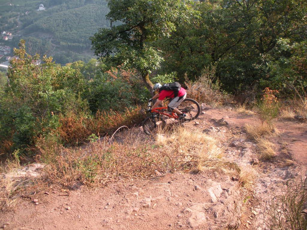 DSCN2168.JPG