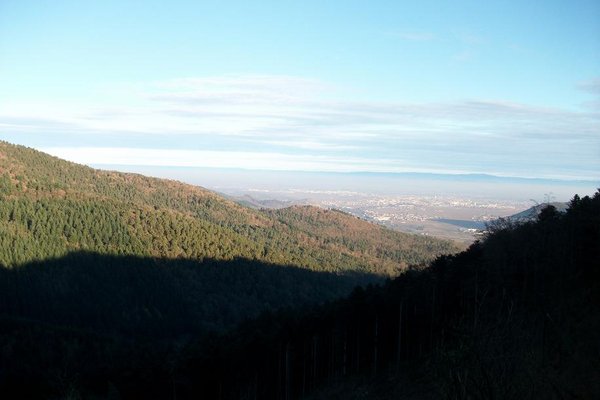 Vue sur les hauteurs de Zimmerbach