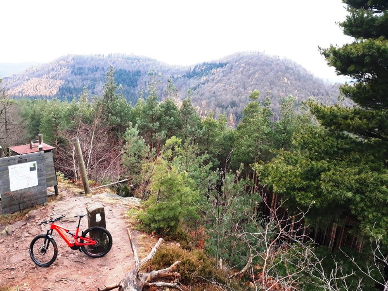 vue du Kappelstein, pile sur la frontière Franco-Allemande