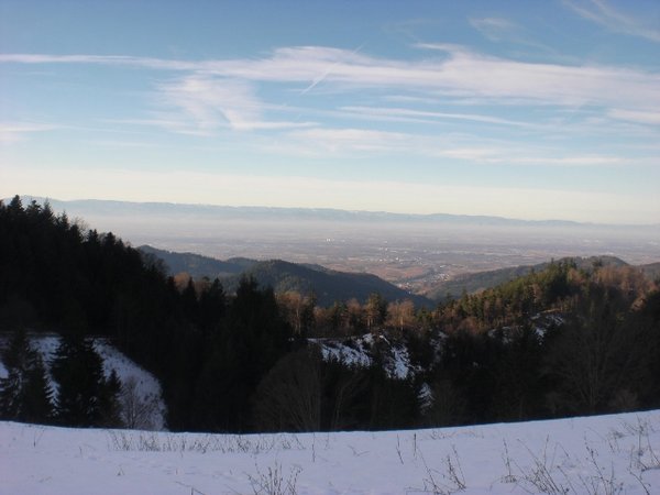 CIMG8413 (640x480).jpg