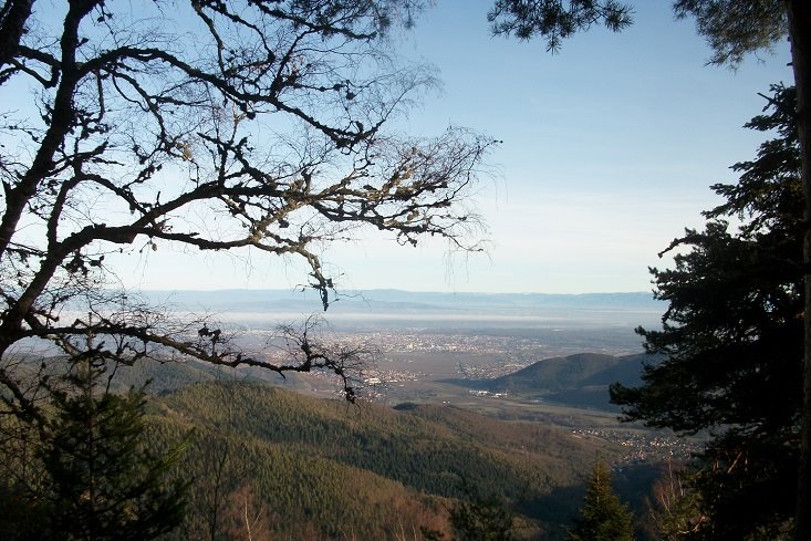 Vue sur Colmar depuis le Hohnack