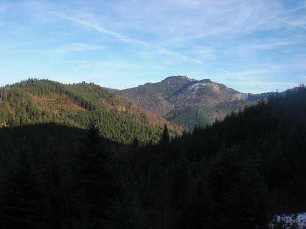 CIMG8414 (640x480).jpg