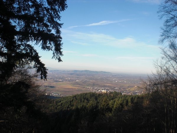 CIMG8418 (640x480).jpg