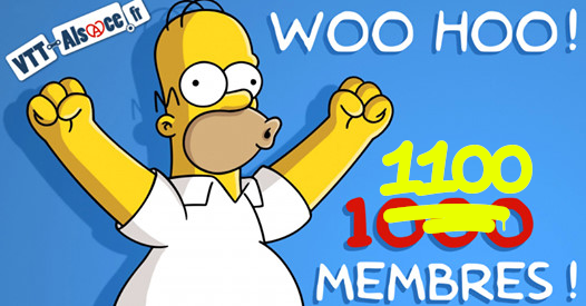 1100 membres.png