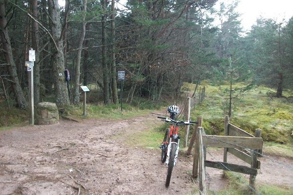 Intersection avec le sentier empruntant les vestiges de la guerre 14/18 sur les hauteurs de Horodberg