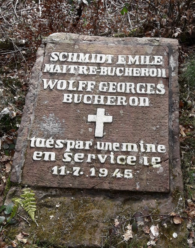 20190402_130251 (2).jpg