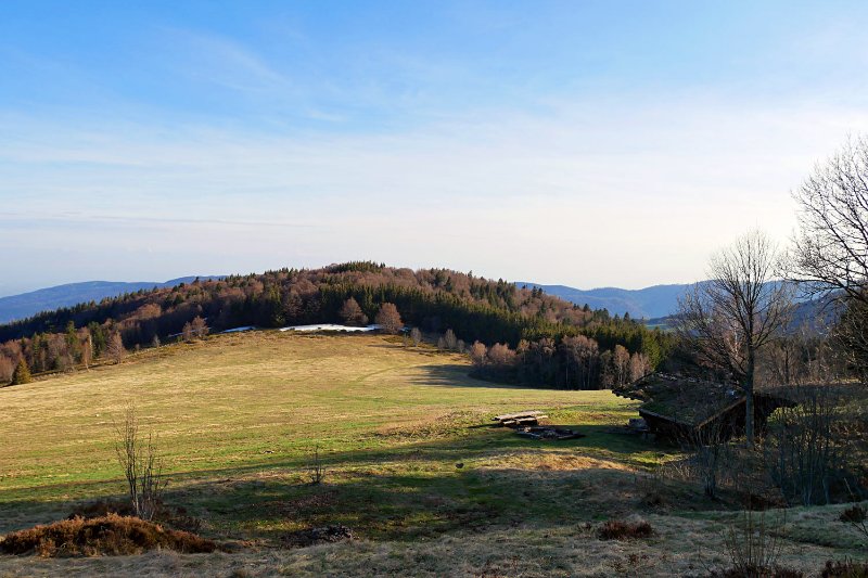 P1040418.jpg