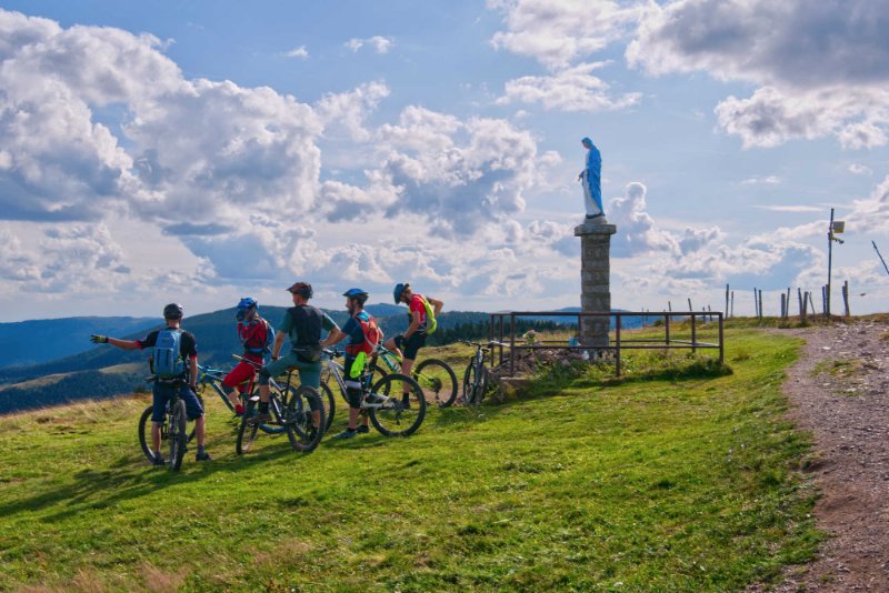 P1040970-2.jpg