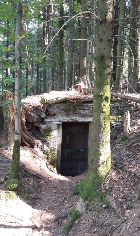 Tranchées et multitude de fortins. La bataille pour le massif du Donon fait rage en Août 1914.