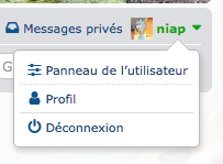 Capture d’écran 2020-03-22 à 00.09.07.png