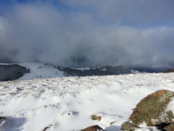 20140105_104018b.jpg