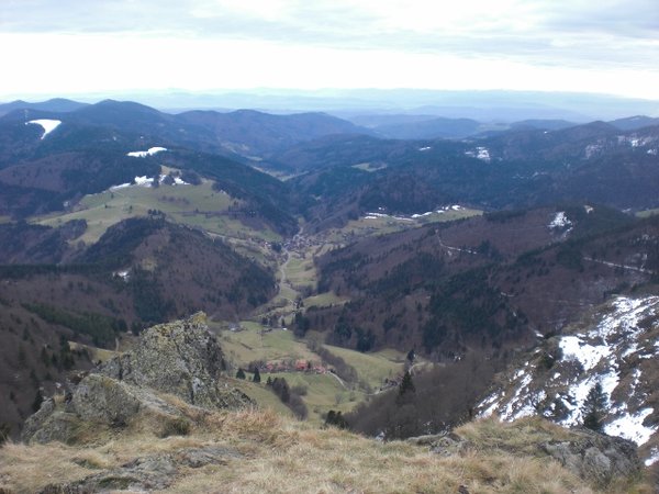 CIMG8429 (640x480).jpg
