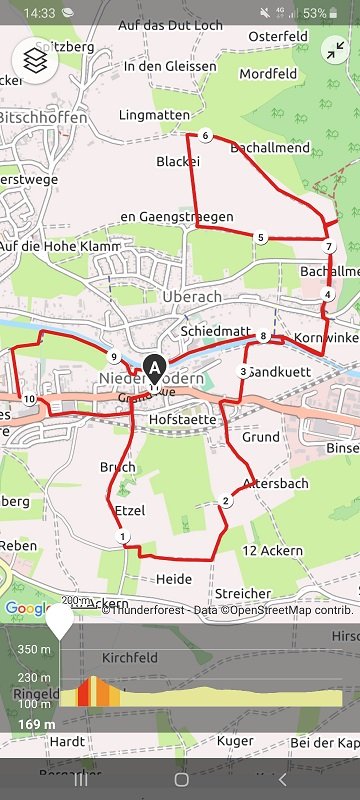 11km.jpg