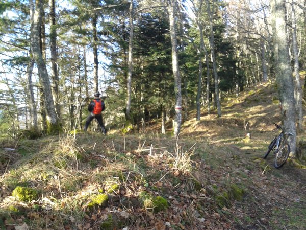 WP_000055.jpg (2.18 Mio) Vu 1008 fois Au Baeckerkopf, une pause rapide histoire de vidanger