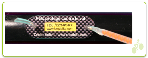 F830B394-B54B-46D1-9AB7-6DC55AD918BE.png