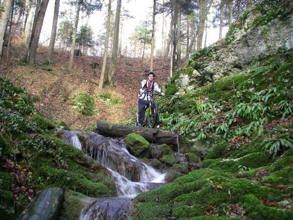 IMGP0096.JPG