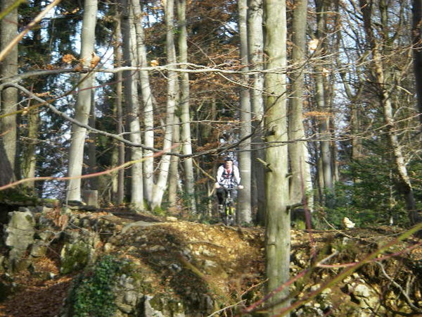 IMGP0092.JPG