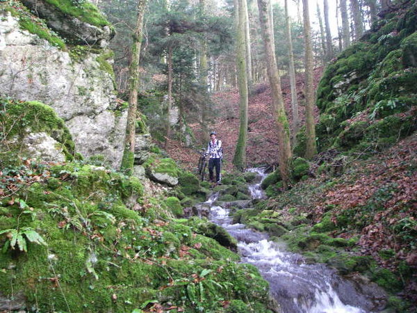 IMGP0095.JPG