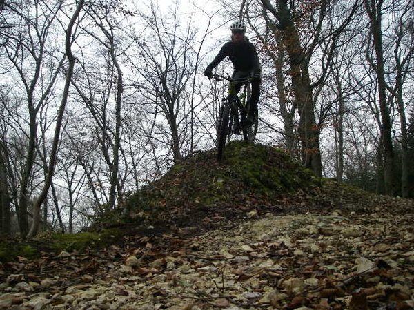 IMGP0113.JPG