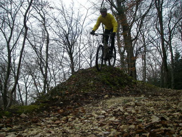 IMGP0112.JPG
