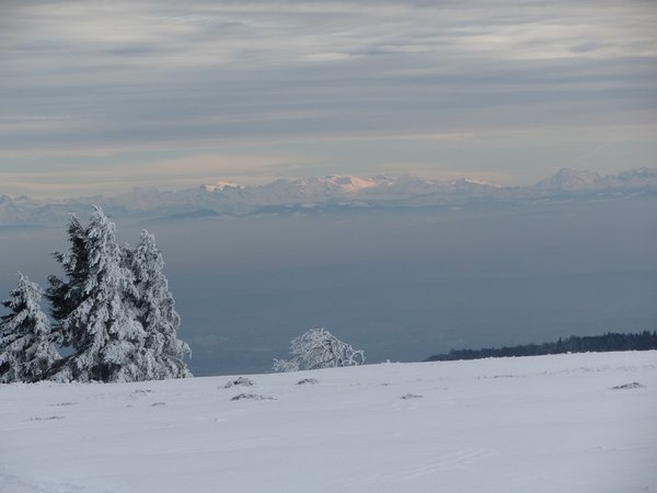 Titlis.jpg