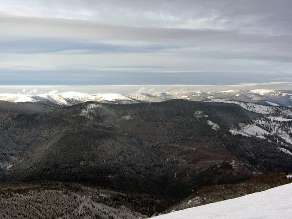 IMG_1162.jpg