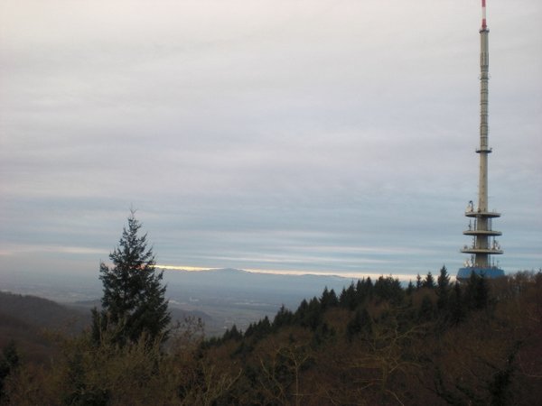 CIMG8462 (640x480).jpg
