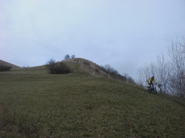 CIMG8460 (640x480).jpg