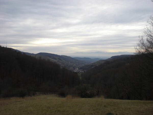 CIMG8454 (640x480).jpg