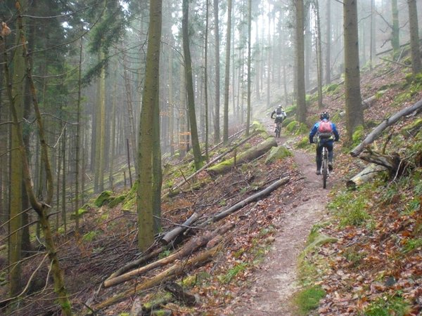 un single comme il y en a des tonnes autour de Saverne