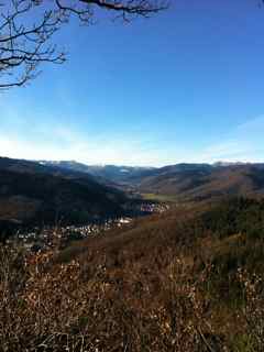IMG_2734.jpg